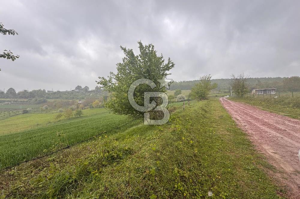 Kocaeli İli Merkez İlçesi Biberoğlu Köyünde 2690 m2 Satılık Tarla