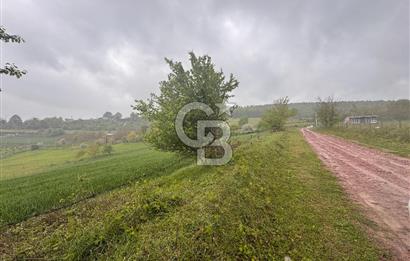 Kocaeli İli Merkez İlçesi Biberoğlu Köyünde 2690 m2 Satılık Tarla