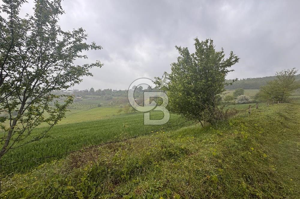 Kocaeli İli Merkez İlçesi Biberoğlu Köyünde 2690 m2 Satılık Tarla
