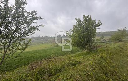 Kocaeli İli Merkez İlçesi Biberoğlu Köyünde 2690 m2 Satılık Tarla