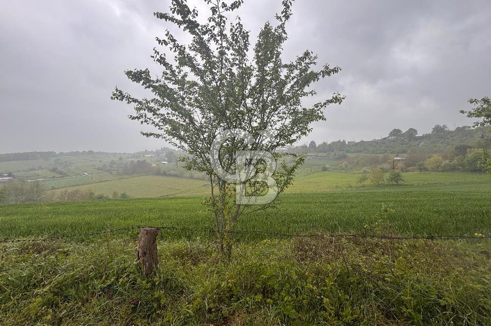 Kocaeli İli Merkez İlçesi Biberoğlu Köyünde 2690 m2 Satılık Tarla