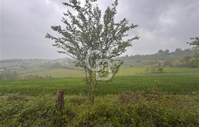 Kocaeli İli Merkez İlçesi Biberoğlu Köyünde 2690 m2 Satılık Tarla