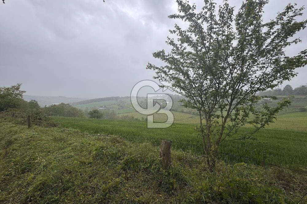 Kocaeli İli Merkez İlçesi Biberoğlu Köyünde 2690 m2 Satılık Tarla
