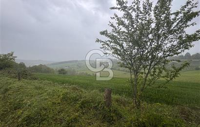 Kocaeli İli Merkez İlçesi Biberoğlu Köyünde 2690 m2 Satılık Tarla