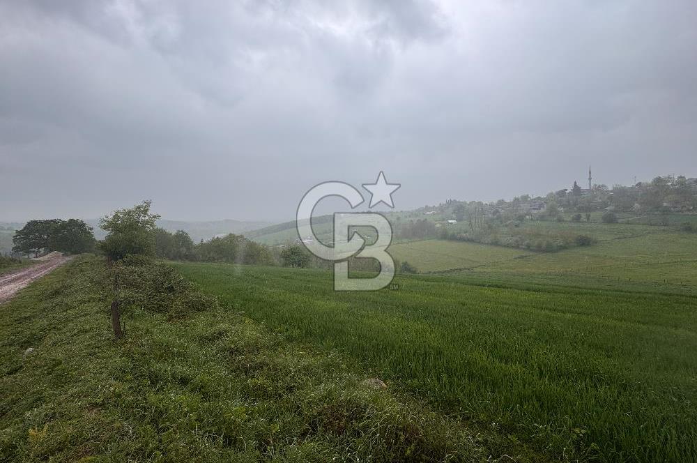 Kocaeli İli Merkez İlçesi Biberoğlu Köyünde 2690 m2 Satılık Tarla