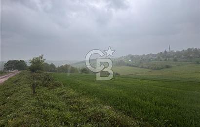 Kocaeli İli Merkez İlçesi Biberoğlu Köyünde 2690 m2 Satılık Tarla