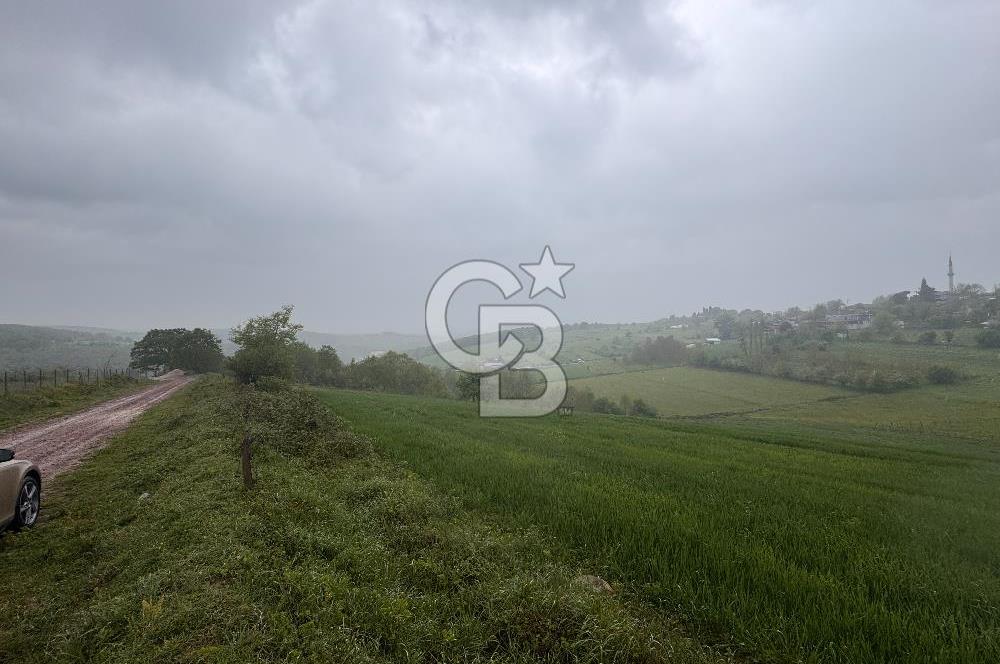 Kocaeli İli Merkez İlçesi Biberoğlu Köyünde 2690 m2 Satılık Tarla