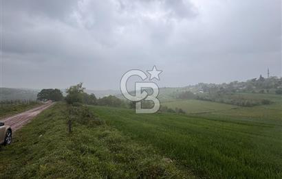 Kocaeli İli Merkez İlçesi Biberoğlu Köyünde 2690 m2 Satılık Tarla