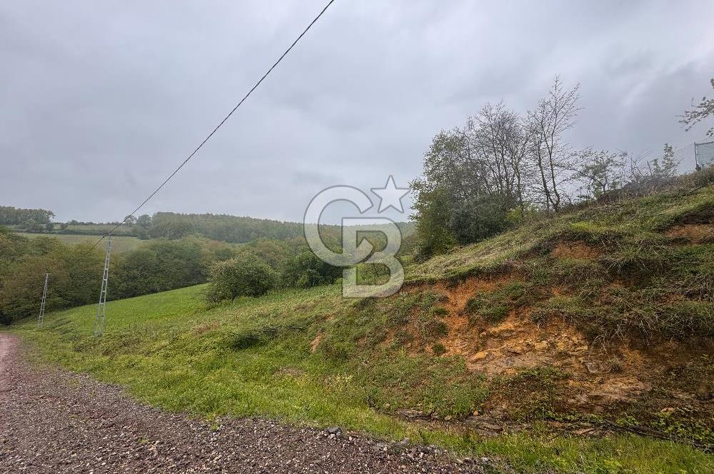 Kocaeli İli Merkez İlçesi Biberoğlu Köyünde 5343 m2 Satılık Tarla