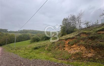 Kocaeli İli Merkez İlçesi Biberoğlu Köyünde 5343 m2 Satılık Tarla