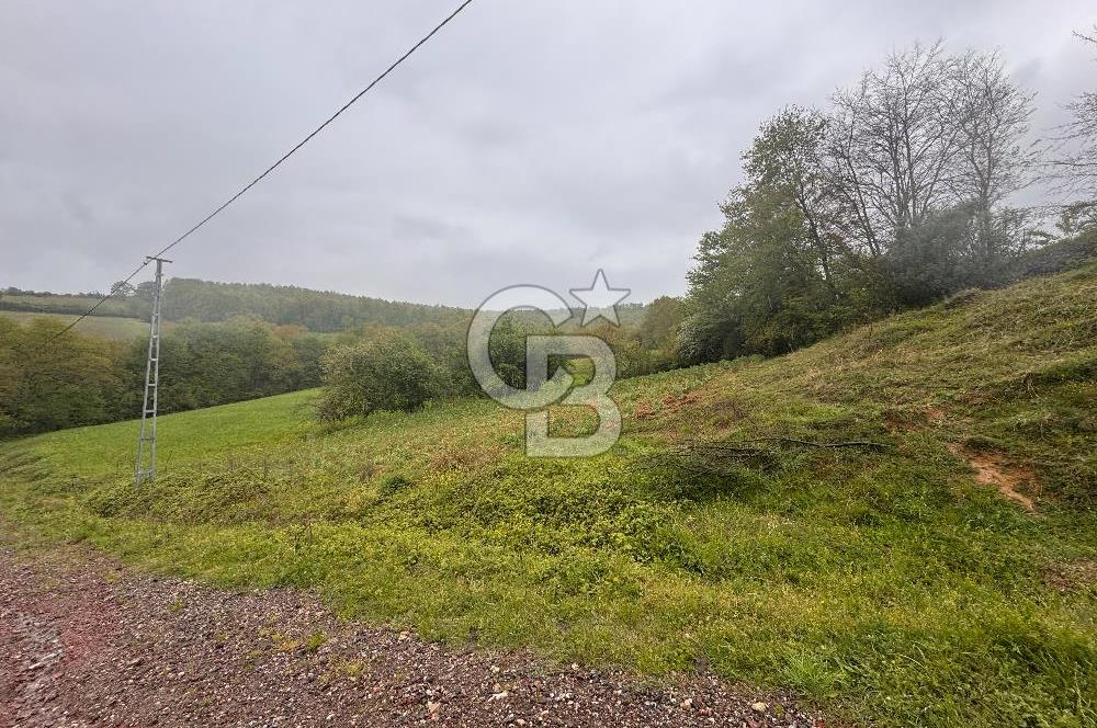 Kocaeli İli Merkez İlçesi Biberoğlu Köyünde 5343 m2 Satılık Tarla