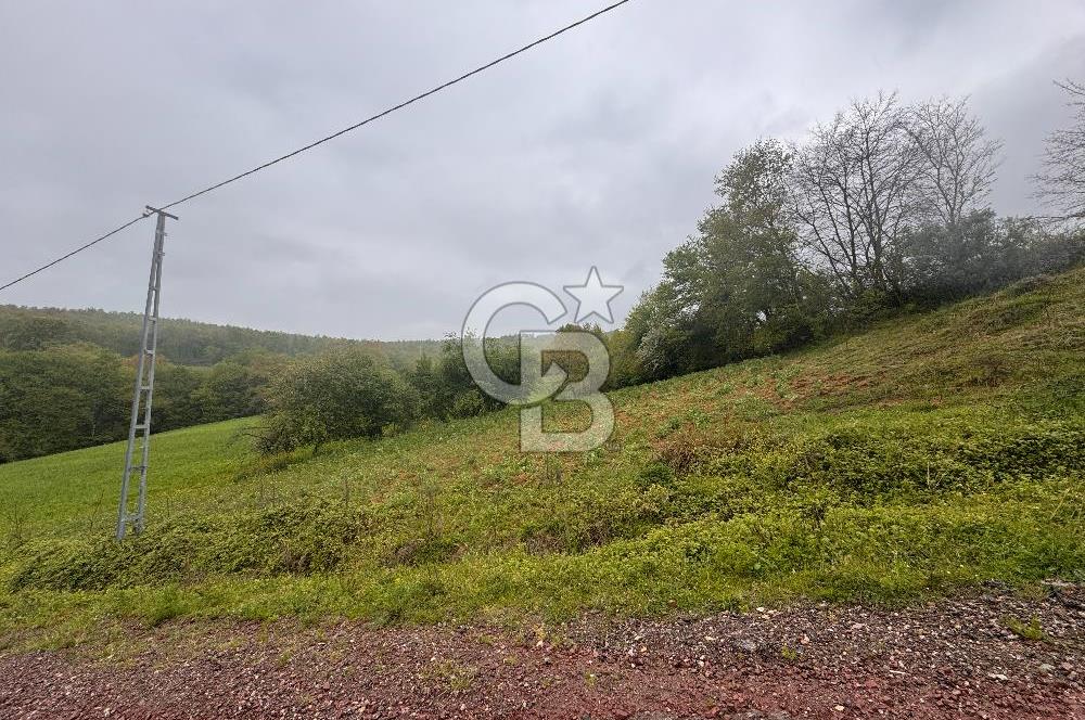 Kocaeli İli Merkez İlçesi Biberoğlu Köyünde 5343 m2 Satılık Tarla