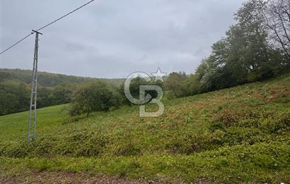 Kocaeli İli Merkez İlçesi Biberoğlu Köyünde 5343 m2 Satılık Tarla
