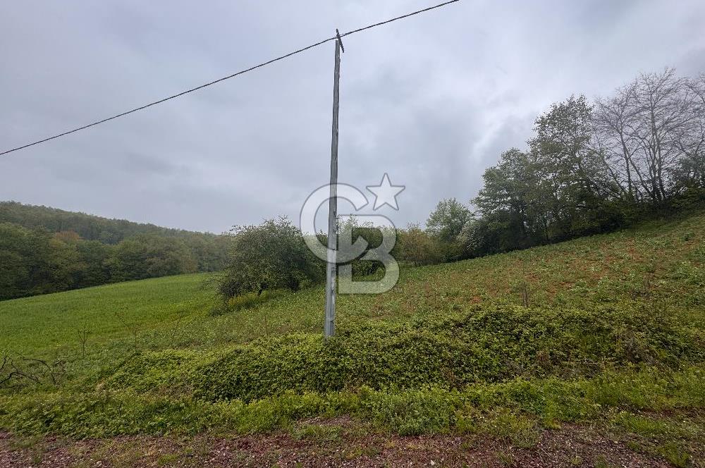 Kocaeli İli Merkez İlçesi Biberoğlu Köyünde 5343 m2 Satılık Tarla