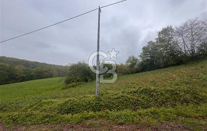 Kocaeli İli Merkez İlçesi Biberoğlu Köyünde 5343 m2 Satılık Tarla