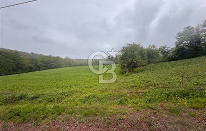 Kocaeli İli Merkez İlçesi Biberoğlu Köyünde 5343 m2 Satılık Tarla
