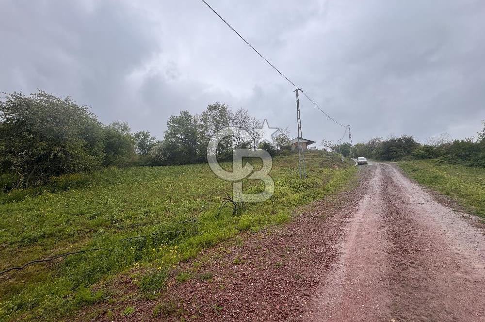 Kocaeli İli Merkez İlçesi Biberoğlu Köyünde 5343 m2 Satılık Tarla