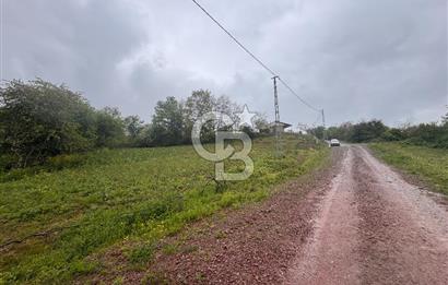 Kocaeli İli Merkez İlçesi Biberoğlu Köyünde 5343 m2 Satılık Tarla