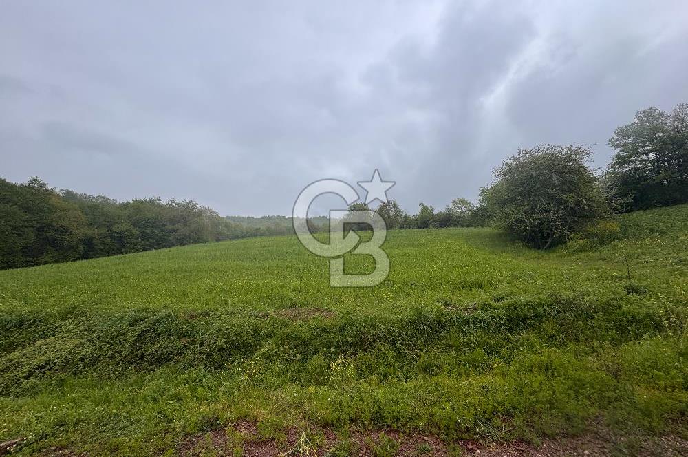 Kocaeli İli Merkez İlçesi Biberoğlu Köyünde 5343 m2 Satılık Tarla