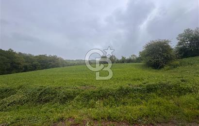 Kocaeli İli Merkez İlçesi Biberoğlu Köyünde 5343 m2 Satılık Tarla