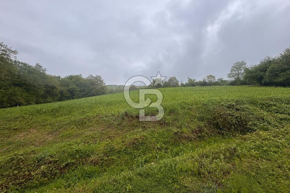 Kocaeli İli Merkez İlçesi Biberoğlu Köyünde 5343 m2 Satılık Tarla