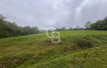 Kocaeli İli Merkez İlçesi Biberoğlu Köyünde 5343 m2 Satılık Tarla