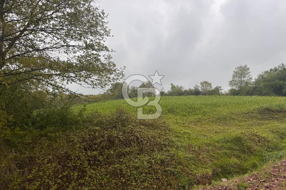 Kocaeli İli Merkez İlçesi Biberoğlu Köyünde 5343 m2 Satılık Tarla