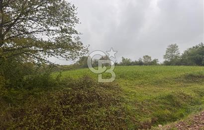 Kocaeli İli Merkez İlçesi Biberoğlu Köyünde 5343 m2 Satılık Tarla