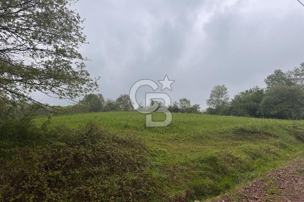 Kocaeli İli Merkez İlçesi Biberoğlu Köyünde 5343 m2 Satılık Tarla