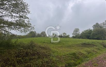 Kocaeli İli Merkez İlçesi Biberoğlu Köyünde 5343 m2 Satılık Tarla
