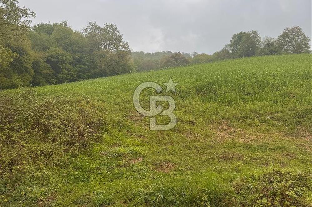 Kocaeli İli Merkez İlçesi Biberoğlu Köyünde 5343 m2 Satılık Tarla