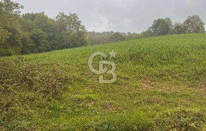 Kocaeli İli Merkez İlçesi Biberoğlu Köyünde 5343 m2 Satılık Tarla