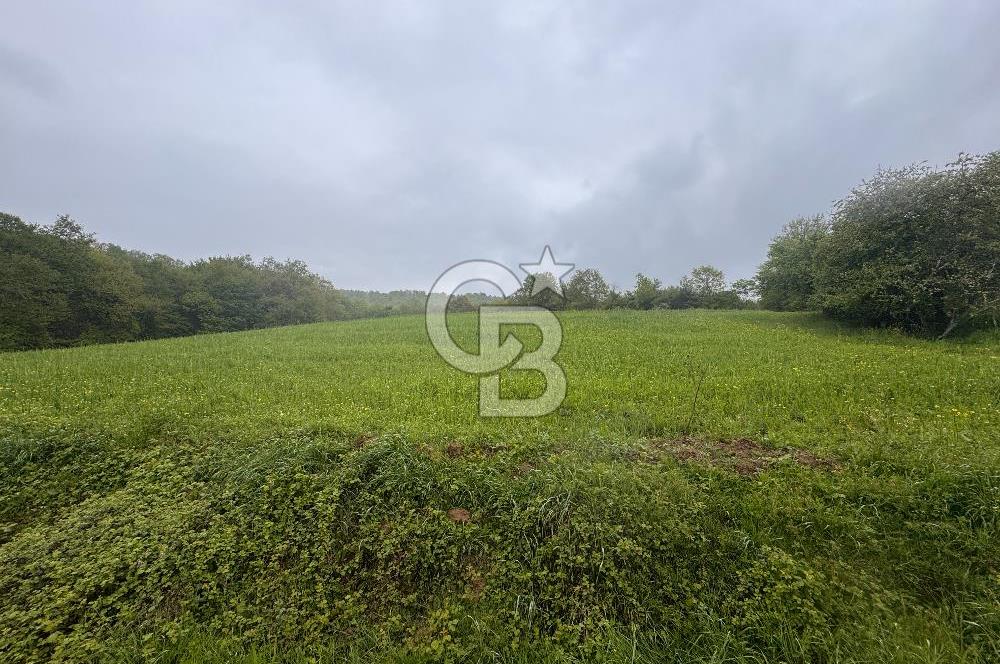 Kocaeli İli Merkez İlçesi Biberoğlu Köyünde 5343 m2 Satılık Tarla