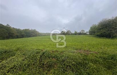 Kocaeli İli Merkez İlçesi Biberoğlu Köyünde 5343 m2 Satılık Tarla