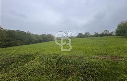 Kocaeli İli Merkez İlçesi Biberoğlu Köyünde 5343 m2 Satılık Tarla