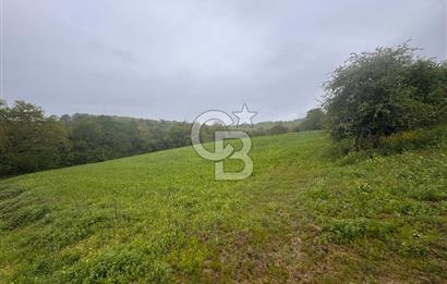 Kocaeli İli Merkez İlçesi Biberoğlu Köyünde 5343 m2 Satılık Tarla