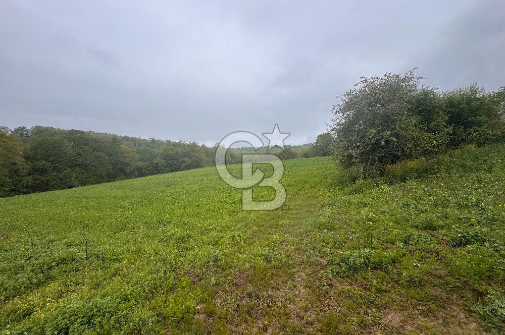 Kocaeli İli Merkez İlçesi Biberoğlu Köyünde 5343 m2 Satılık Tarla