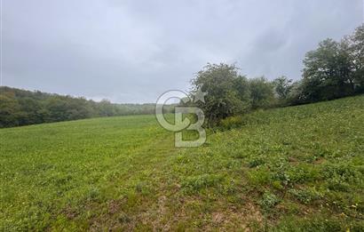 Kocaeli İli Merkez İlçesi Biberoğlu Köyünde 5343 m2 Satılık Tarla