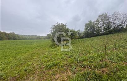 Kocaeli İli Merkez İlçesi Biberoğlu Köyünde 5343 m2 Satılık Tarla