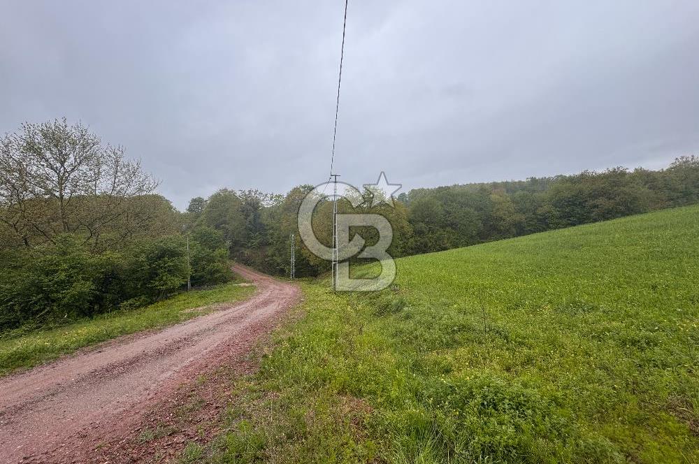 Kocaeli İli Merkez İlçesi Biberoğlu Köyünde 5343 m2 Satılık Tarla