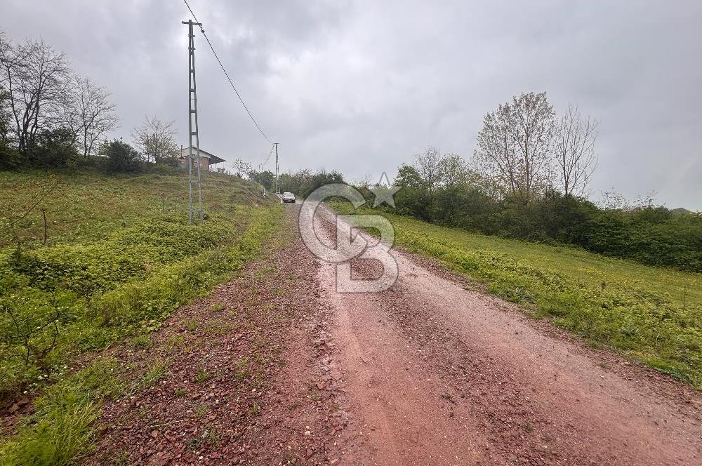 Kocaeli İli Merkez İlçesi Biberoğlu Köyünde 5343 m2 Satılık Tarla