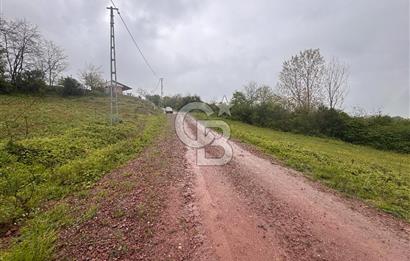 Kocaeli İli Merkez İlçesi Biberoğlu Köyünde 5343 m2 Satılık Tarla