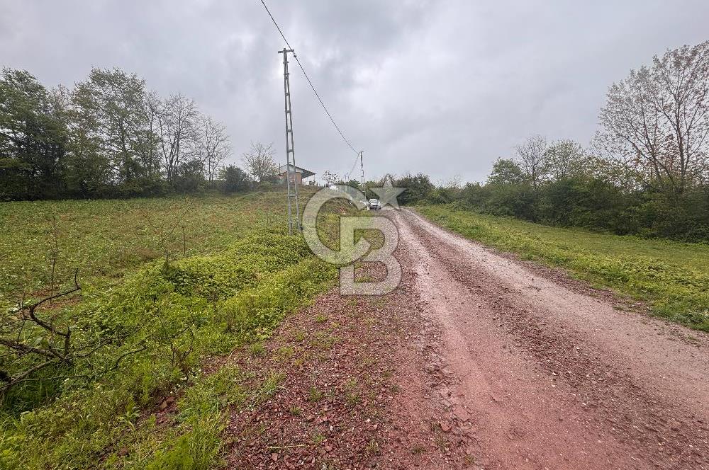 Kocaeli İli Merkez İlçesi Biberoğlu Köyünde 5343 m2 Satılık Tarla