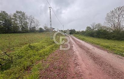 Kocaeli İli Merkez İlçesi Biberoğlu Köyünde 5343 m2 Satılık Tarla