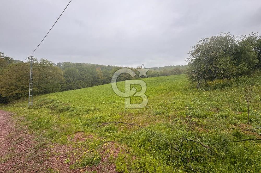 Kocaeli İli Merkez İlçesi Biberoğlu Köyünde 5343 m2 Satılık Tarla