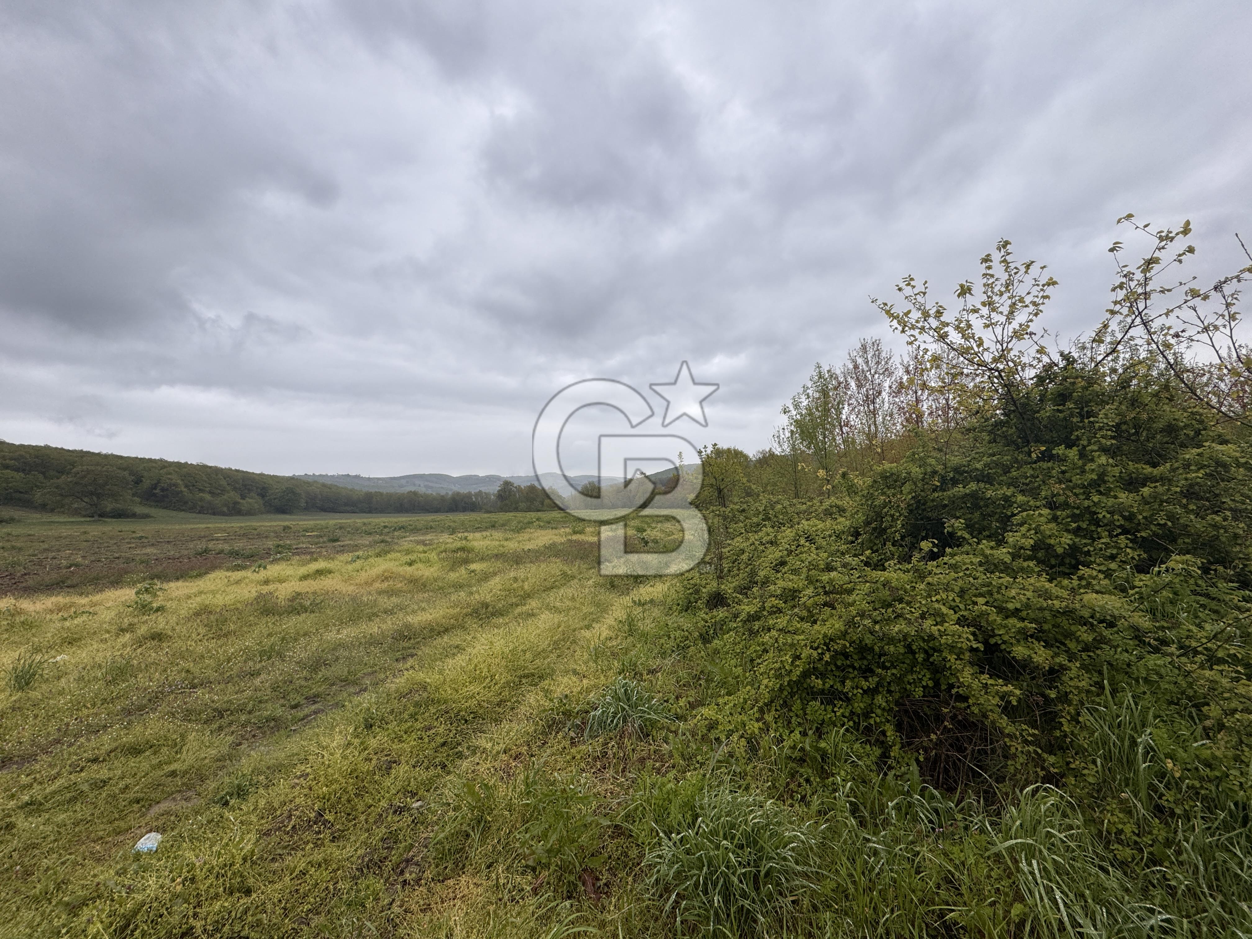 Kocaeli İli Merkez İlçesi Biberoğlu Köyünde 9.014 m2 Satılık Tarla