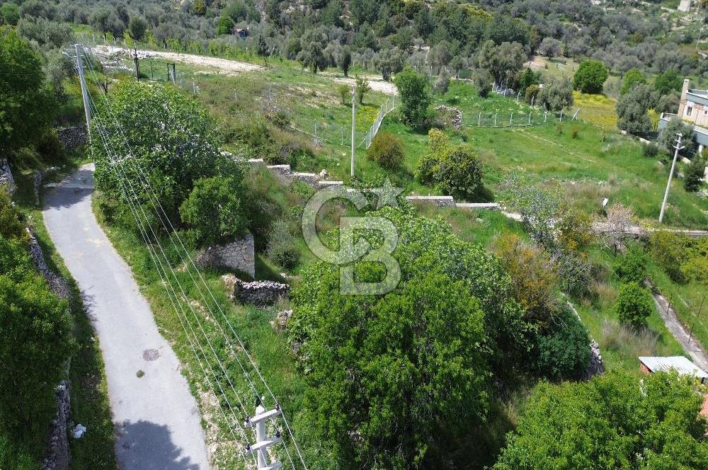 Karaburun Mordoğan Köy'ünde Deniz ve Doğa Manzaralı 117 m² Arsa