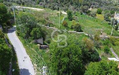Karaburun Mordoğan Köy'ünde Deniz ve Doğa Manzaralı 117 m² Arsa