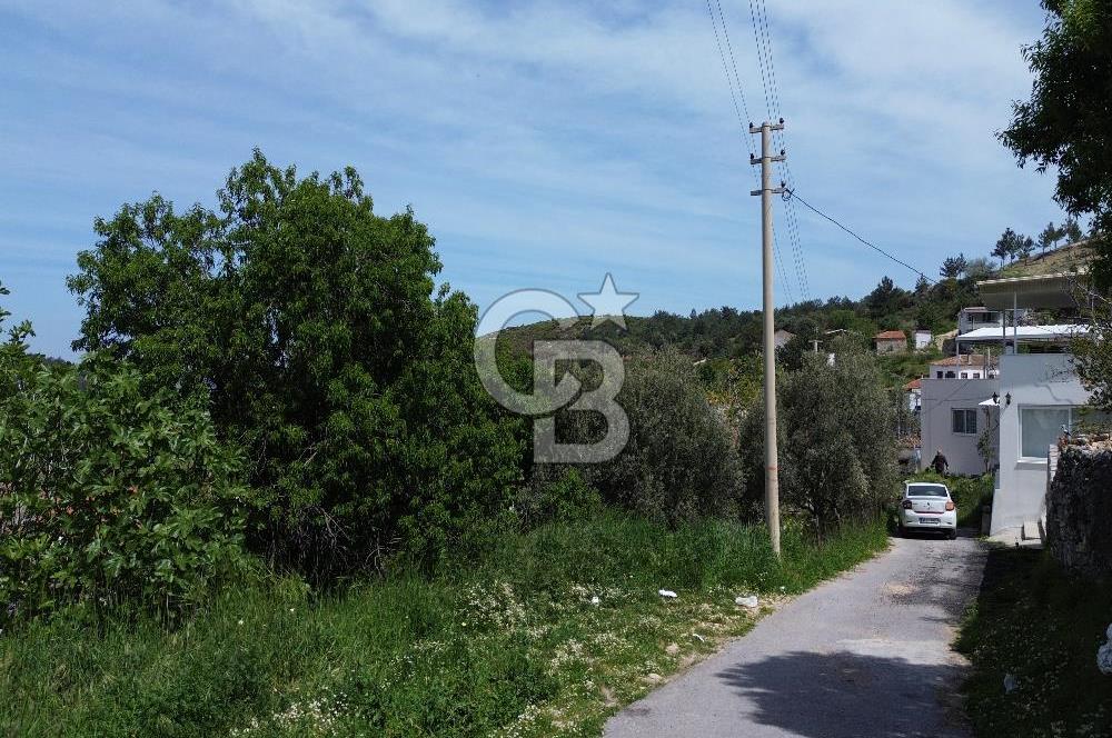 Karaburun Mordoğan Köy'ünde Deniz ve Doğa Manzaralı 117 m² Arsa
