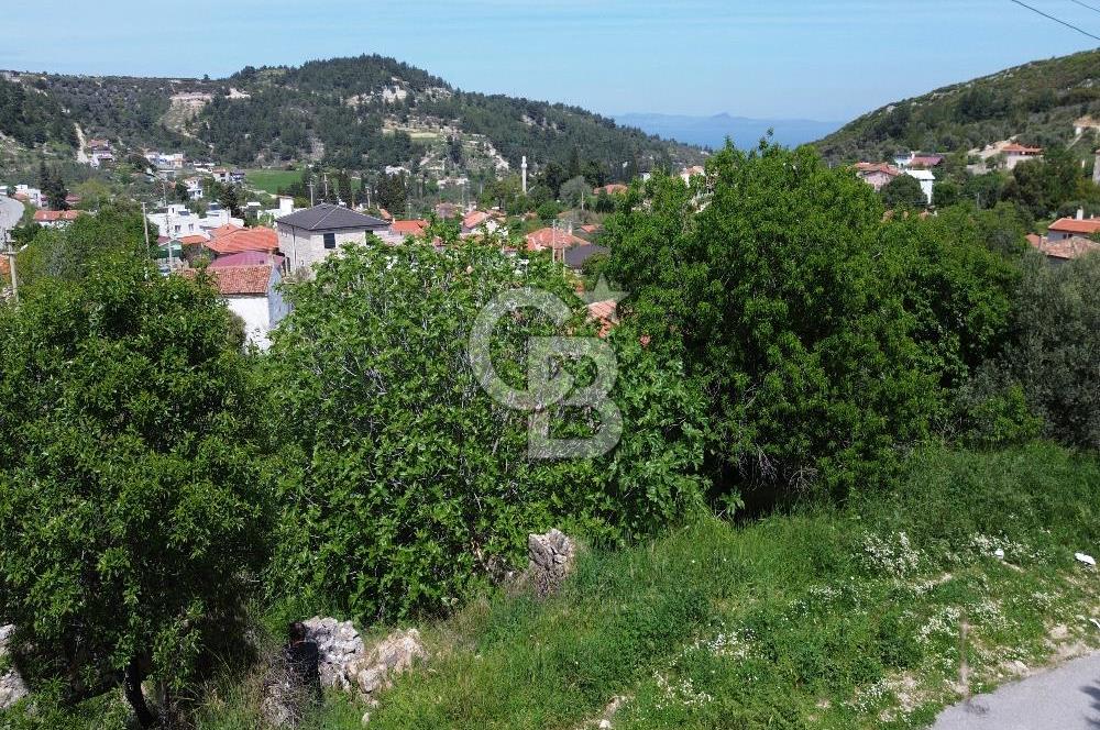 Karaburun Mordoğan Köy'ünde Deniz ve Doğa Manzaralı 117 m² Arsa